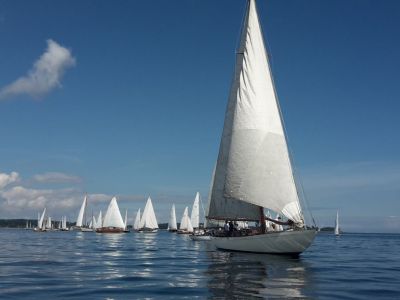 Bei strahlend blauem Himmel segeln mehrere Folkeboote mit weißen Segeln auf dem Wasser.